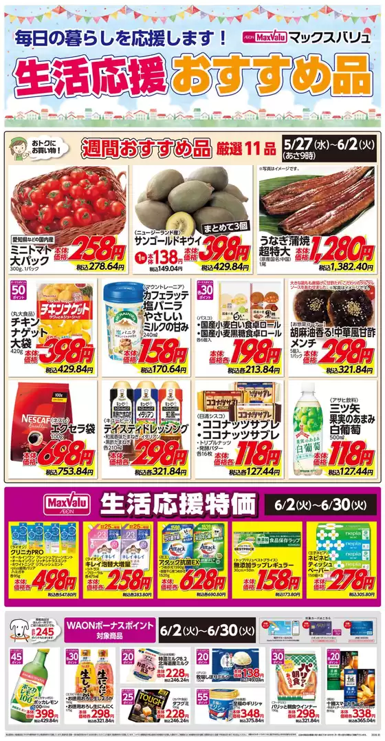main_flyer image
