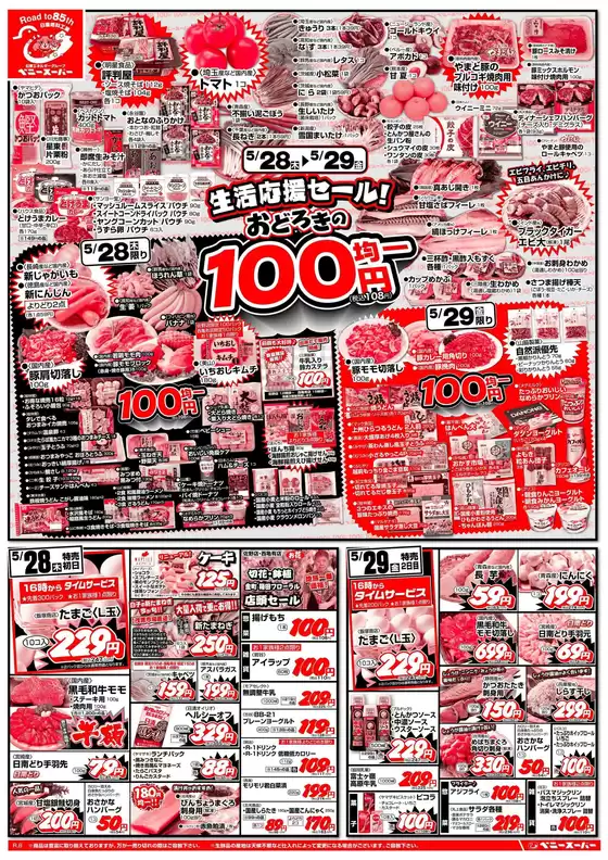 main_flyer image
