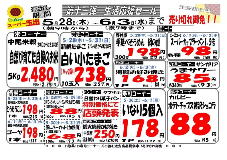 main_flyer image