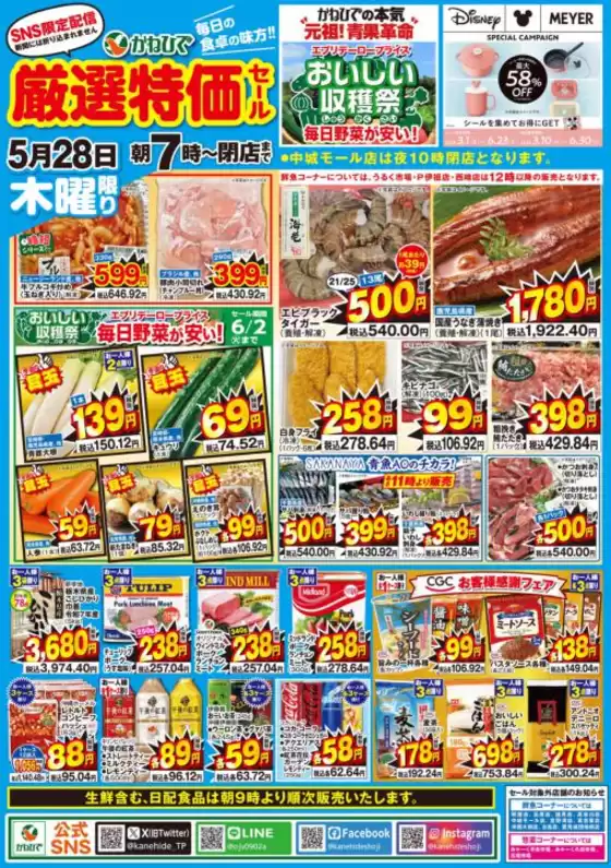 タウンプラザかねひでのカタログ | タウンプラザかねひで チラシ | 2026-05-28T00:00:00.000Z - 2026-06-02T00:00:00.000Z
