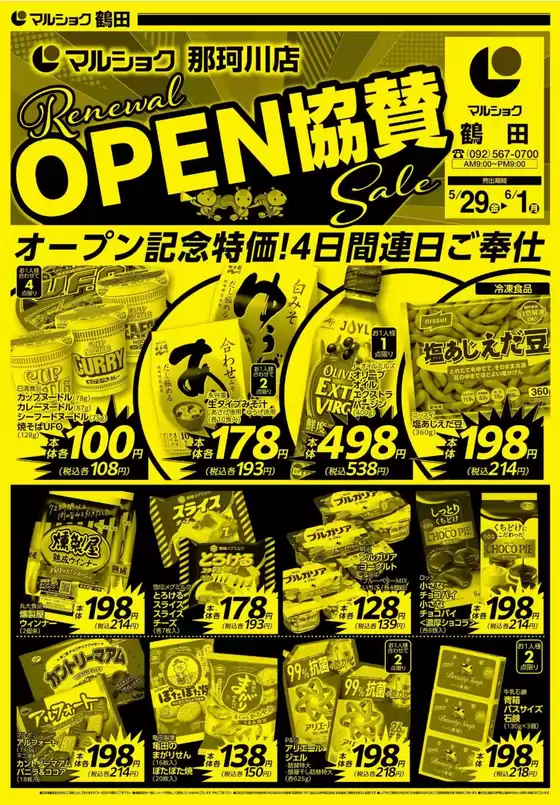 main_flyer image