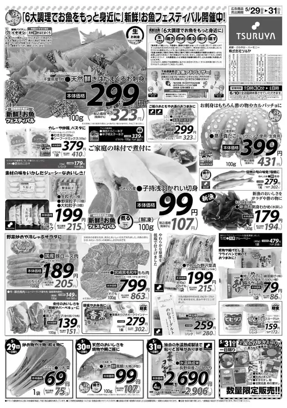 main_flyer image