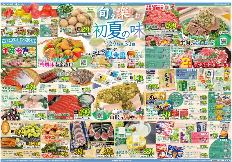 main_flyer image