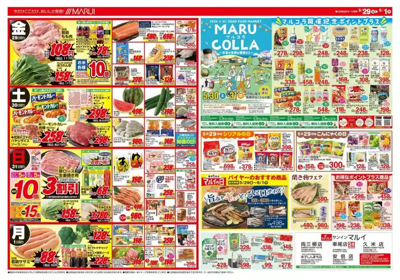 main_flyer image