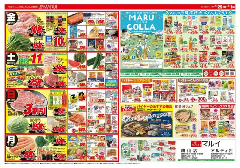 main_flyer image