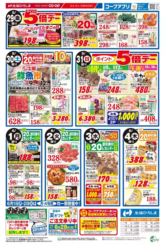main_flyer image