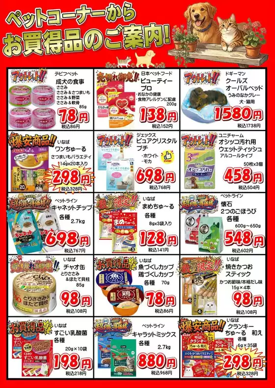 main_flyer image