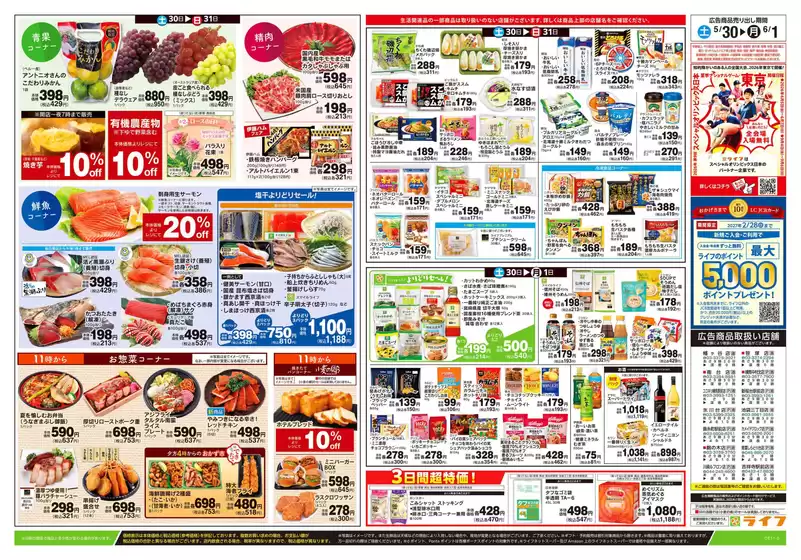 main_flyer image