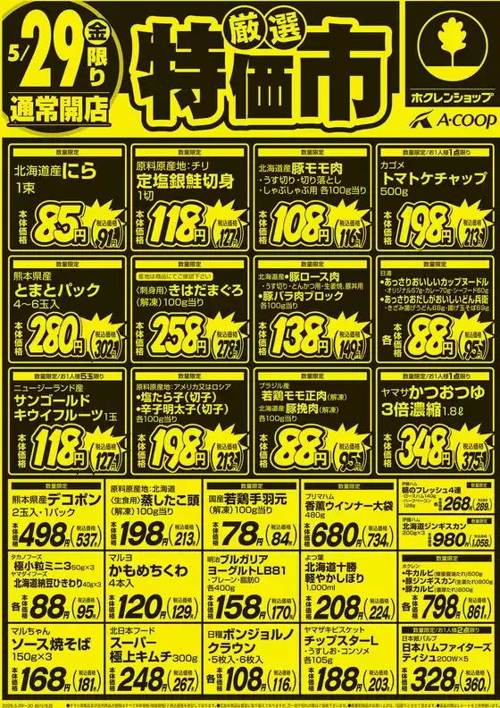 main_flyer image
