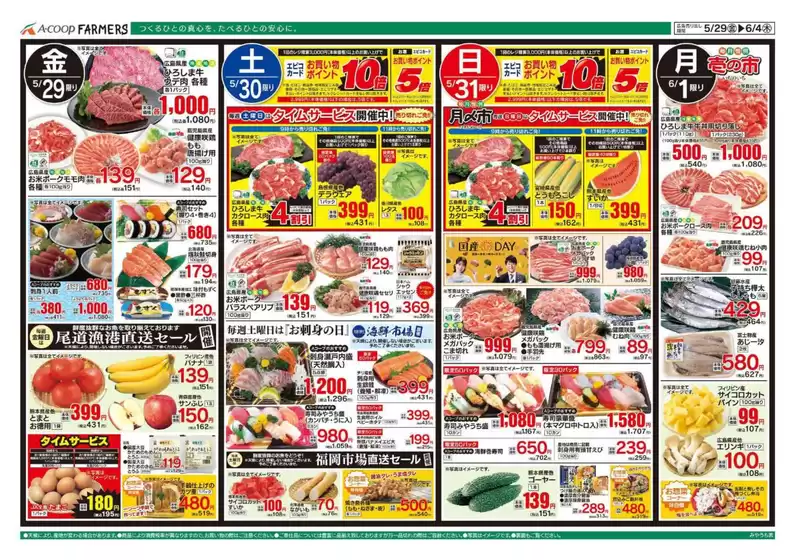 main_flyer image
