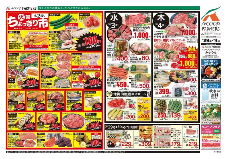 main_flyer image