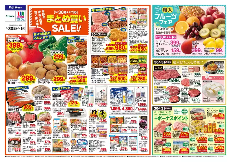 main_flyer image