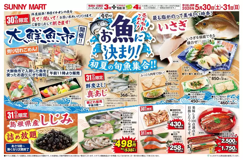 main_flyer image
