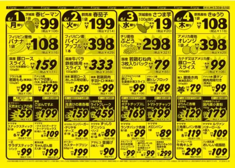 main_flyer image