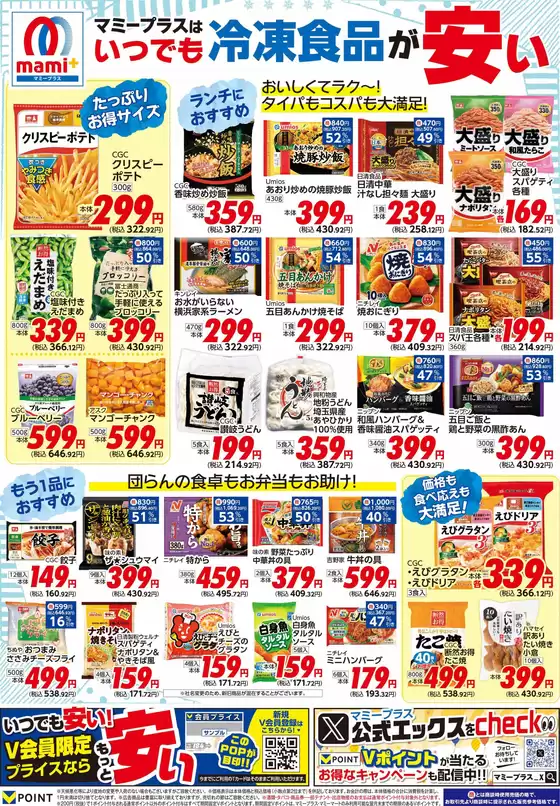 main_flyer image