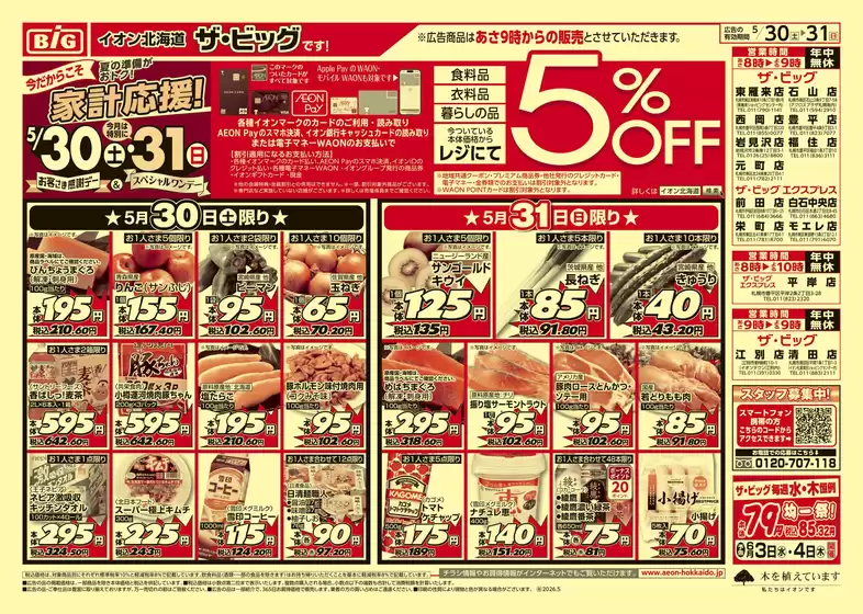 ザ・ビッグのカタログ | ザ・ビッグ チラシ | 2026-05-29T00:00:00.000Z - 2026-06-02T00:00:00.000Z
