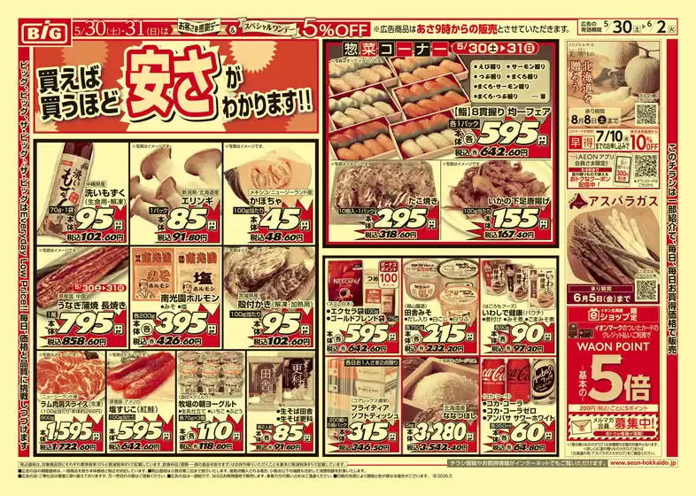 main_flyer image
