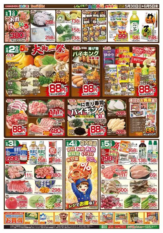 main_flyer image