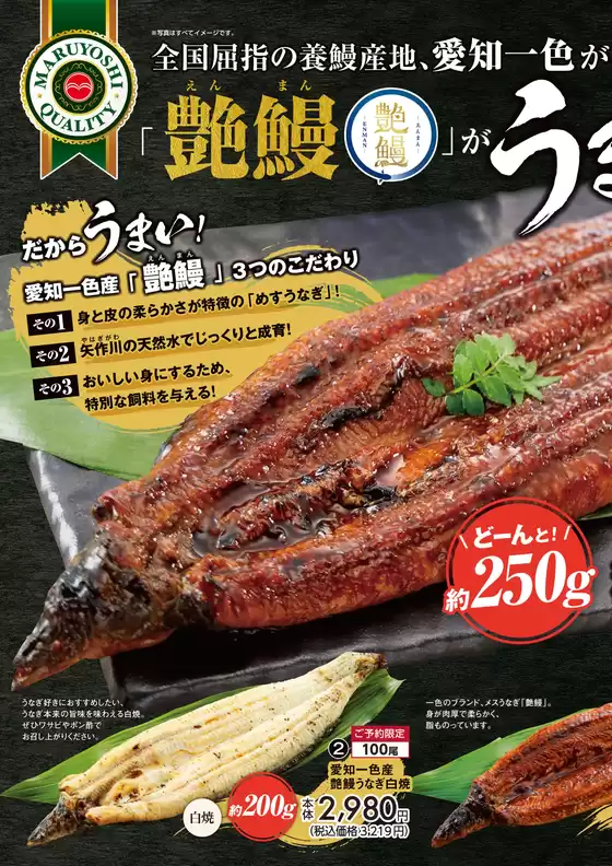 main_flyer image