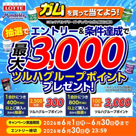 ウェルネスのカタログ | 61630 ウェルネス ガムマストバイキャンペーン | 2026-05-31T00:00:00.000Z - 2026-06-30T00:00:00.000Z