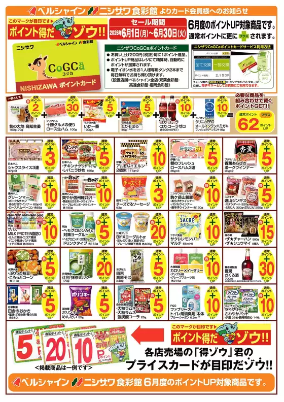 main_flyer image