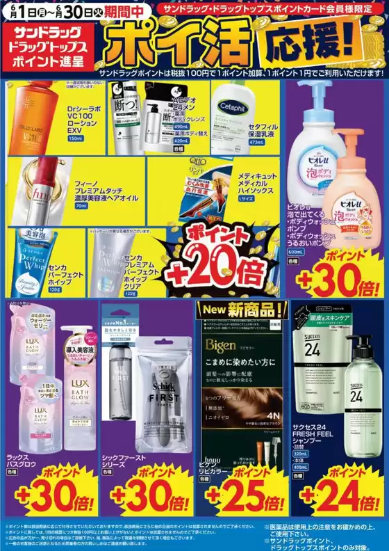 main_flyer image