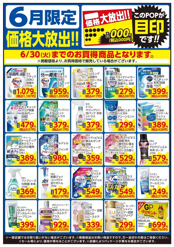 main_flyer image