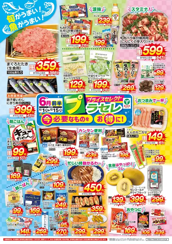 main_flyer image