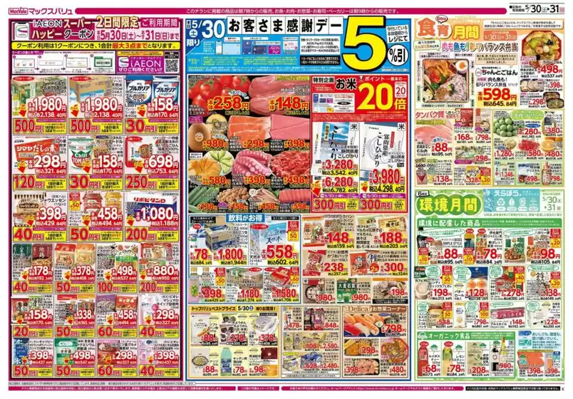 main_flyer image