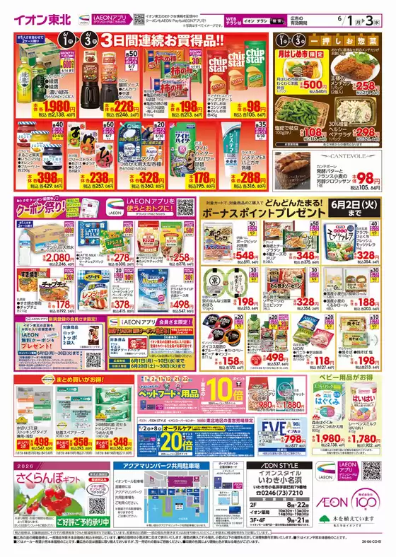 main_flyer image