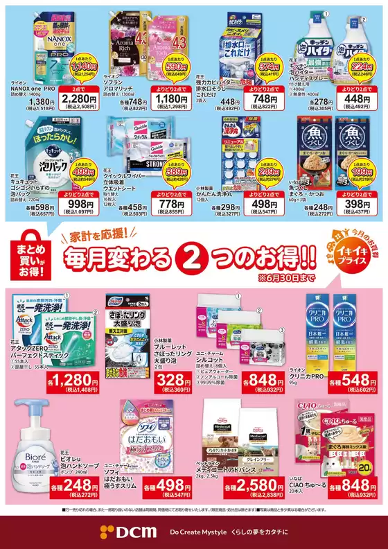 main_flyer image