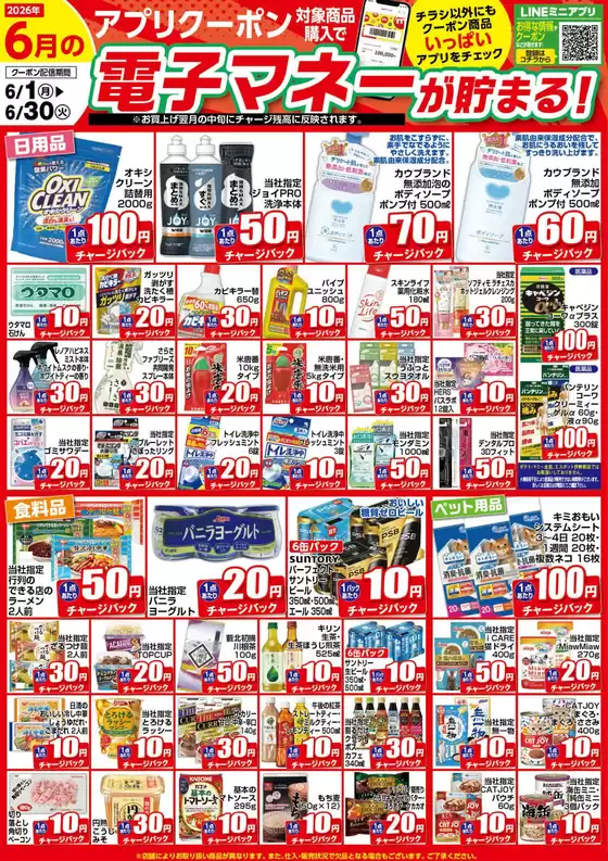 main_flyer image