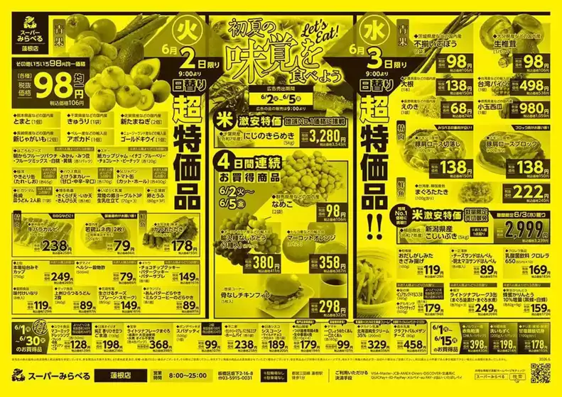 main_flyer image