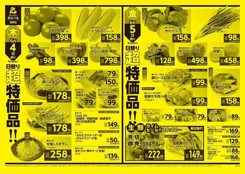 main_flyer image