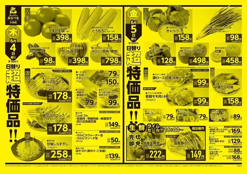 main_flyer image