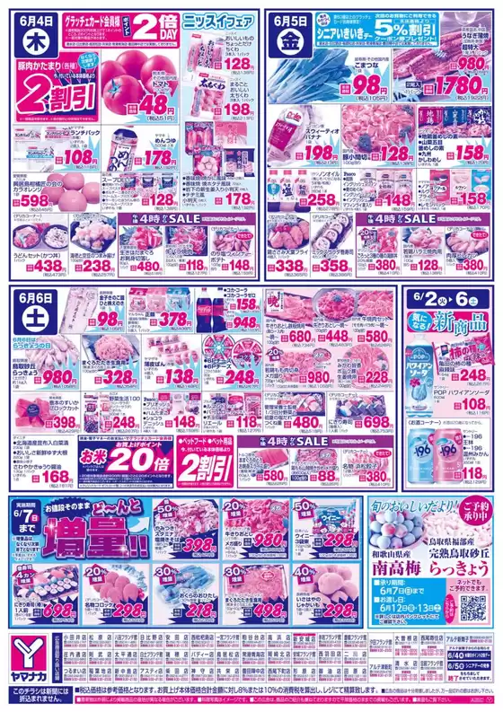 main_flyer image