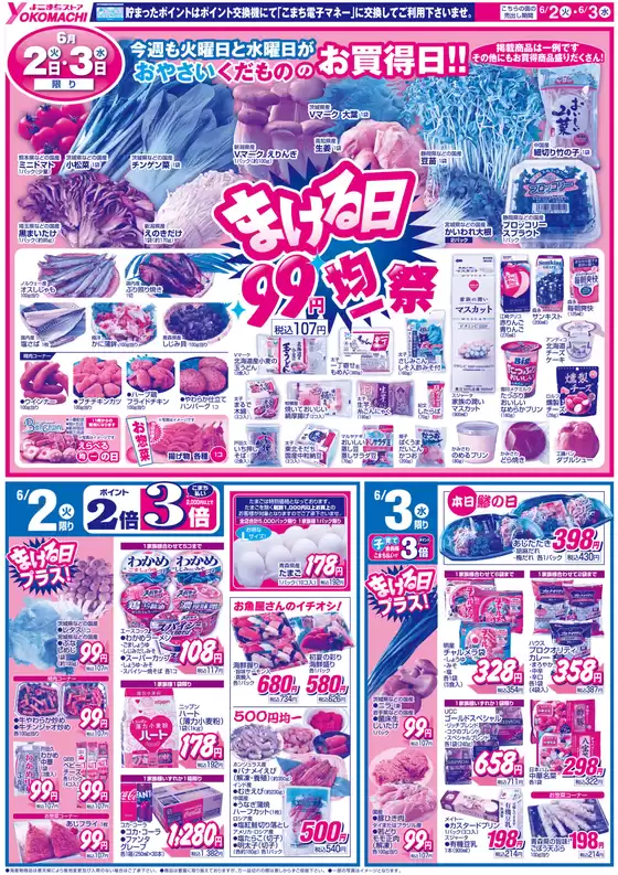 main_flyer image
