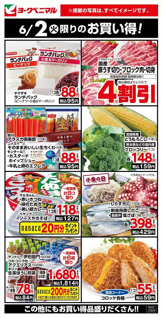 main_flyer image