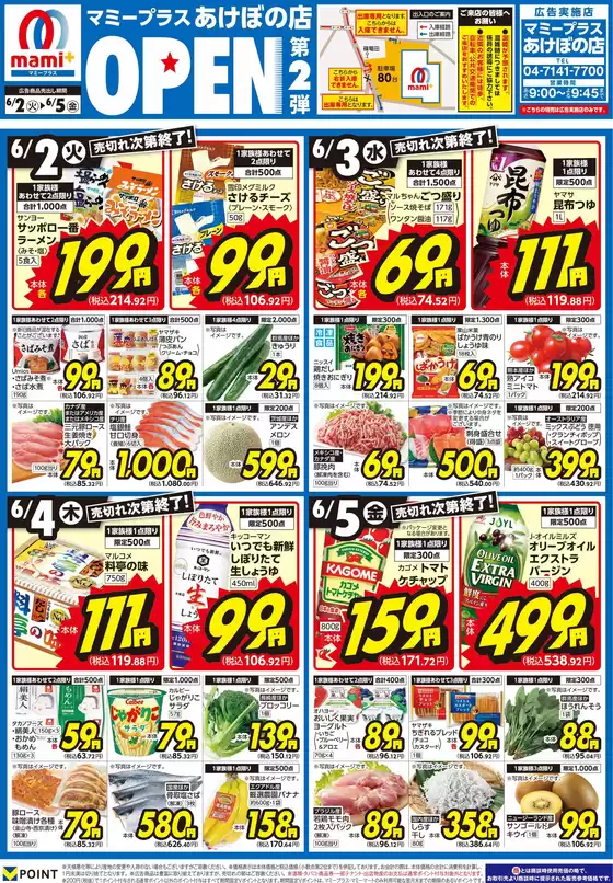main_flyer image