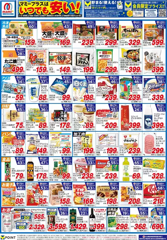 main_flyer image