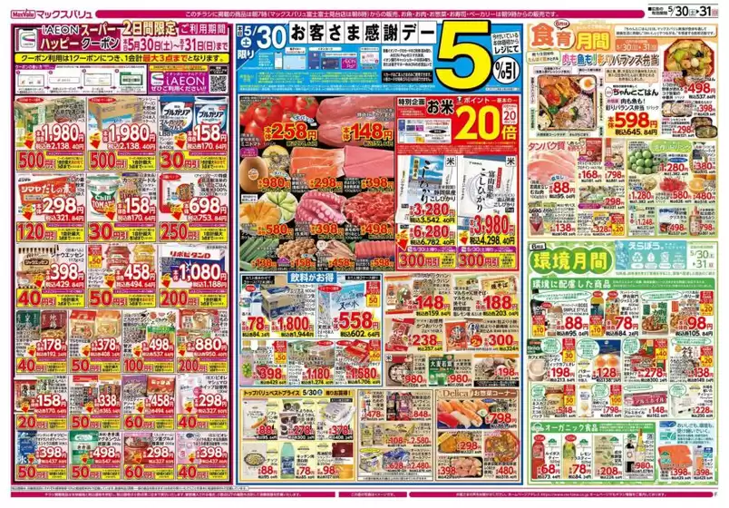main_flyer image
