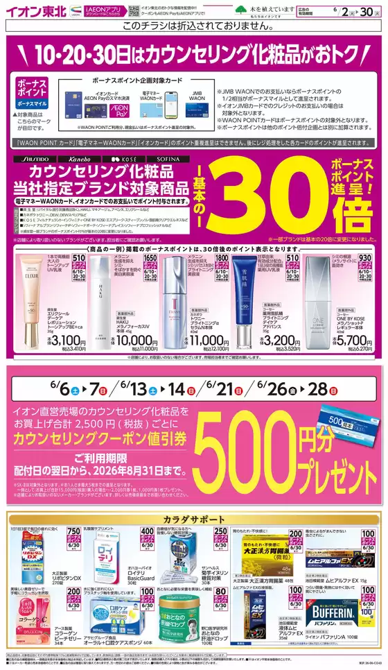 main_flyer image