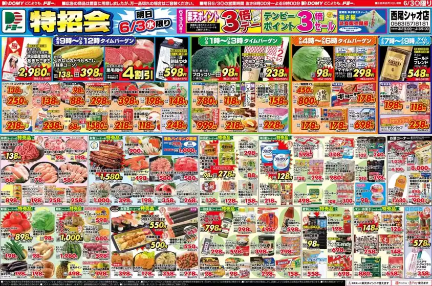 main_flyer image