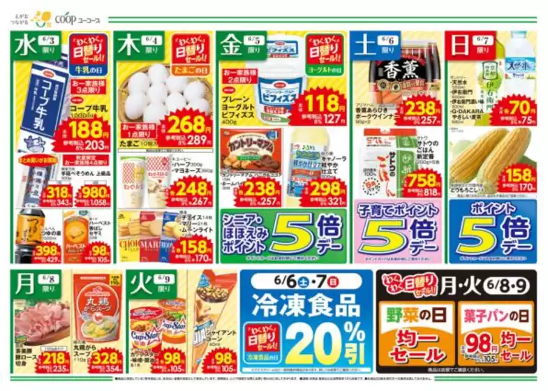 main_flyer image