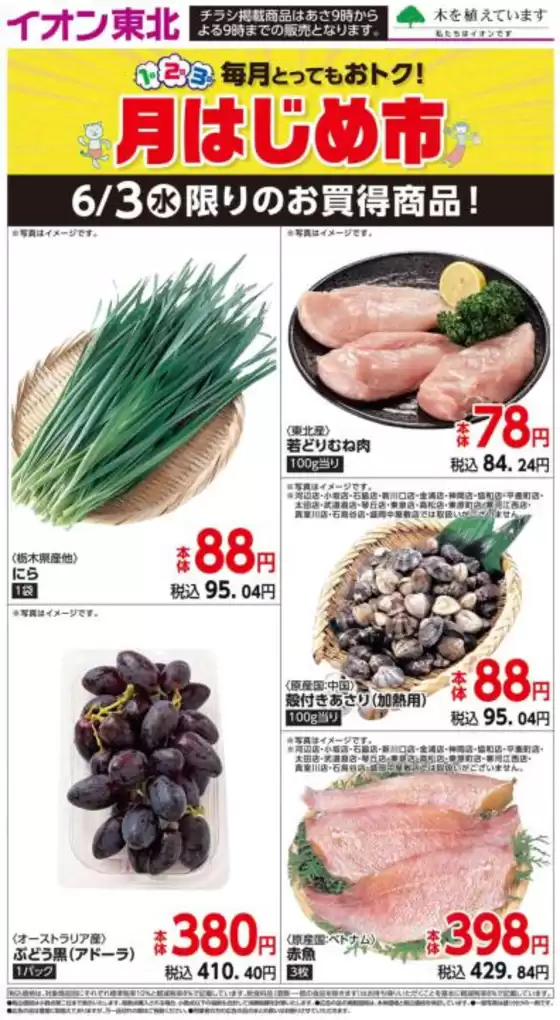 main_flyer image