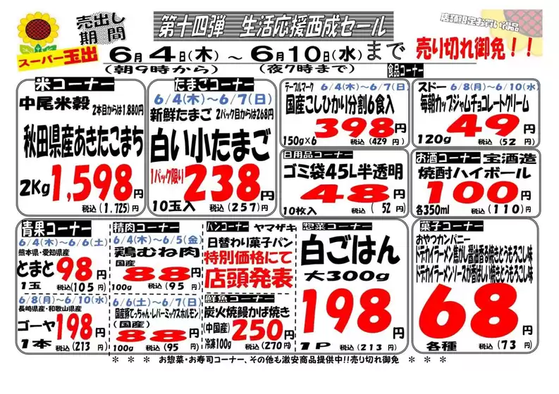 main_flyer image