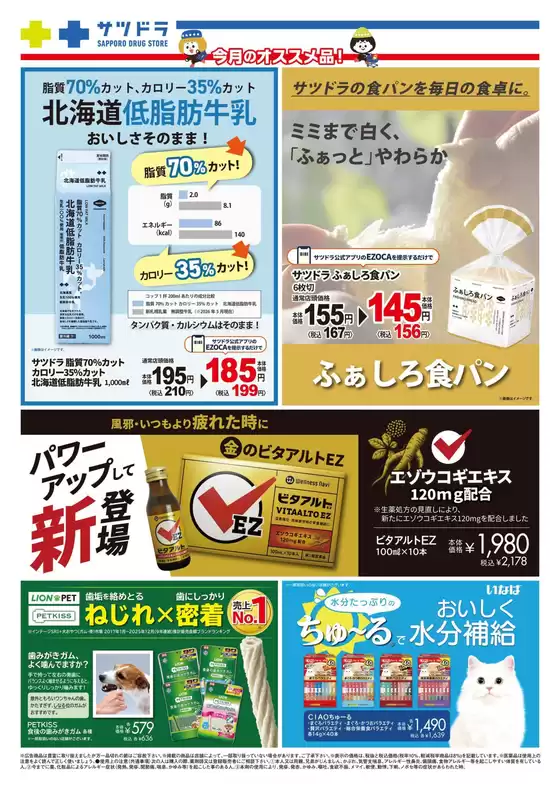 main_flyer image