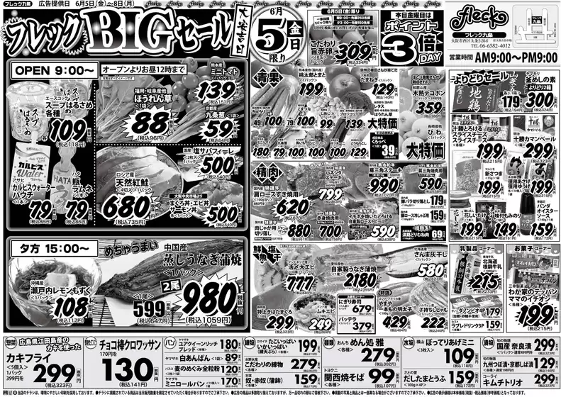 太良町でのフレック九条のカタログ | フレックＢＩＧセール | 2026-06-05T00:00:00.000Z - 2026-06-05T00:00:00.000Z
