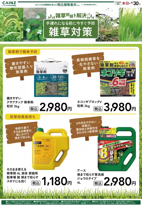 太良町でのカインズホームのカタログ | 雑草問題を解決 | 2026-06-04T00:00:00.000Z - 2026-06-11T00:00:00.000Z