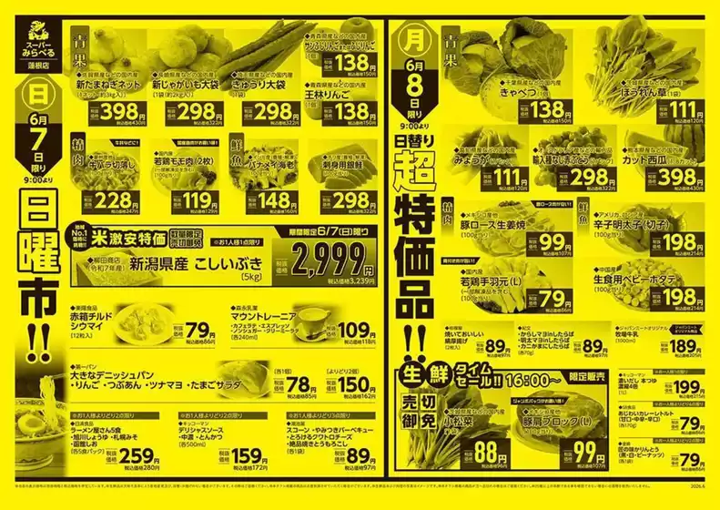 main_flyer image